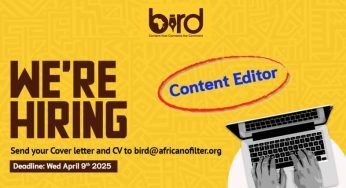 Bird Story Agency is Hiring: Content Editor