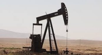 Saudi Arabia Discovers 14 New Oil Fields Amidst Global Crash in Crude Oil Prices
