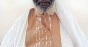 Sheikh Abdur Rasheed Hadiyyatullah Iwo, Prominent Nigerian Islamic Scholar, Passes Away