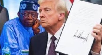 U.S. Criticizes Nigeria’s Import Bans on 25 Products