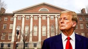 Trump Harvard Funding Cut