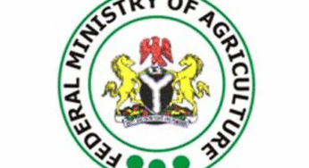 Federal Ministry of Agriculture Declares Nationwide Prayer Sessions for Food Security and National Development
