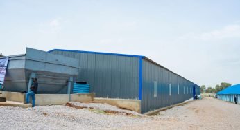 Can Nigeria’s Lithium Boom Survive Falling Prices?
