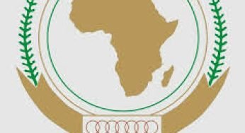 AU Over-Reliance on External Funding: At What Point Does the African Union Become Truly Independent?
