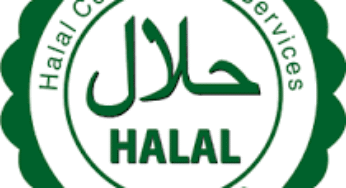 $7.7 Trillion Global Halal Economy: Can Nigeria Ride the Halal Wave to Global Prominence?