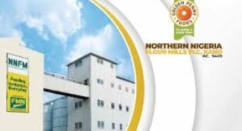 Northern Nigeria Flour Mills Grows Revenue 36%, But Inventory Surge and Cash Strain Raise Red Flags