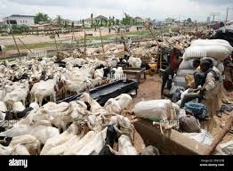 Eid-el-Kabir 2025 Ram prices