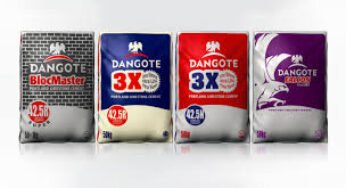 Dangote Cement to Commision Grinding Plant in Ivory Coast