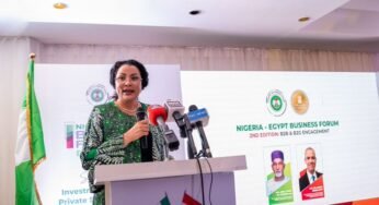 Nigeria and Egypt To Deepen Economic Ties with Joint Investment Council