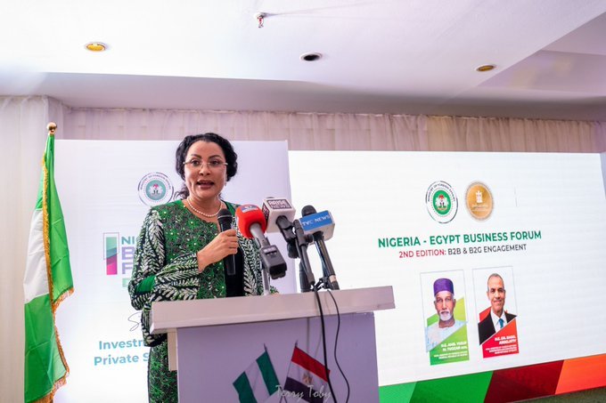 Nigeria Egypt to Deepen economic Ties with Joint Investment Council