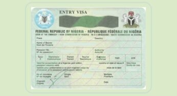 President Tinubu Never Stopped 5-Year Visa For US Citizens – Presidency