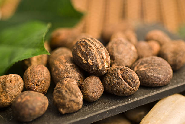 Tinubu places a six-month ban on raw shea exports to boost local processing