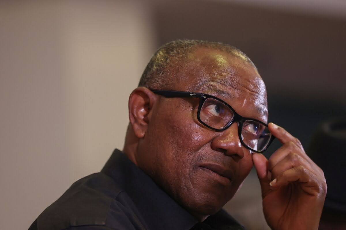 Peter Obi's Critique of Passport Fee Hike: A Window into Broader Opposition to Tinubu's Policies