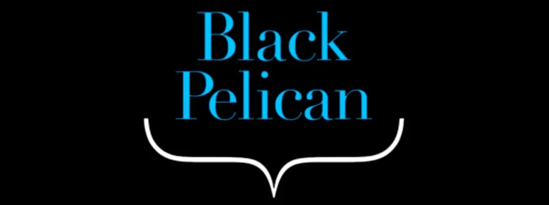black pelican group needs a chief finance officer