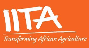 International Institute of Tropical Agriculture job