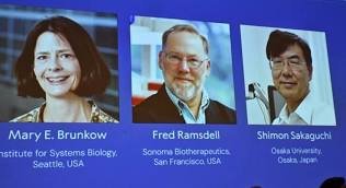 Nobel Prize for Medicine 2025