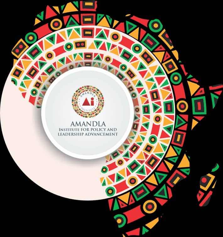 amandla institute host expert meeting in abuja