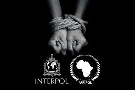 INTERPOL AFRIPOL Operation Catalyst