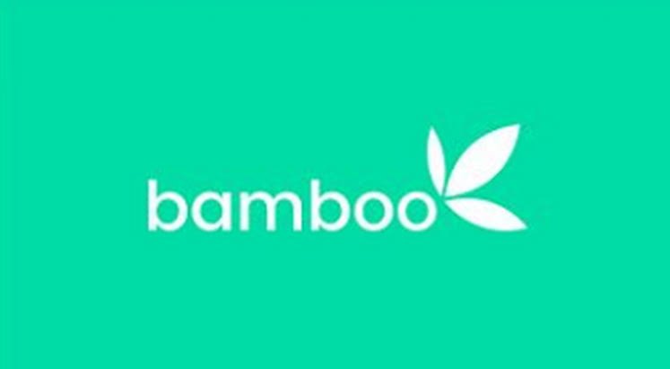 bamboo is hiring a customer experience analyst