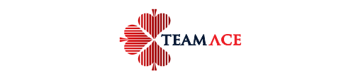 TeamAce Technical Support Officer job