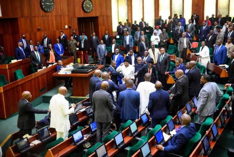 Rowdy House of Reps Adopts Senate Position on Election