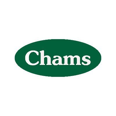 Chams Holdings AI subsidiary