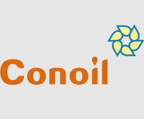 Conoil 2025 results