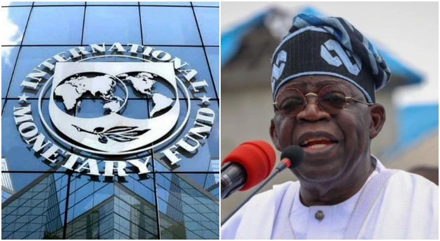 IMF Nigeria